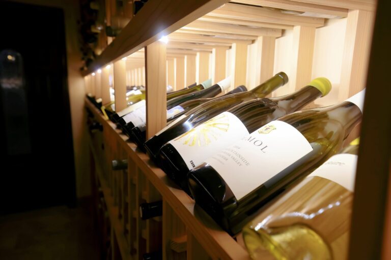 Read more about the article Elevate Your Wine Collection with Danville’s Premier Custom Wine Cellar Designs